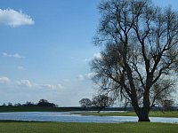An der Elbe